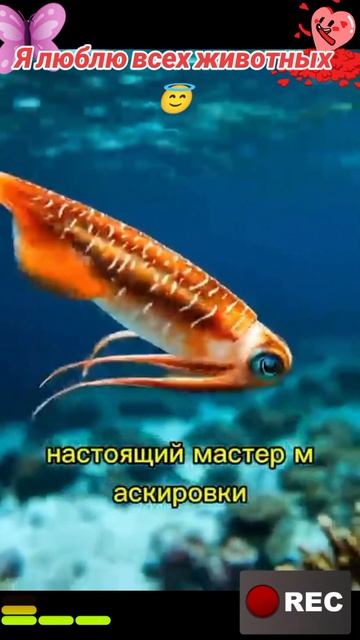 Животные приколы и не только😅