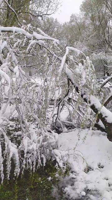 27.4.26 Москва, Южное Бутово