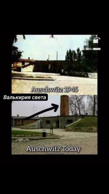 VID_20260429_230059_828.mp4