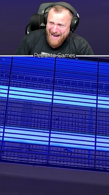 Петренто муха