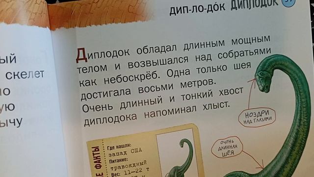 рассказываю про целюра и диплодока