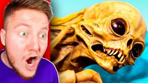 100 СЕКРЕТНЫХ ВИДЕО из ТИК-ТОКА