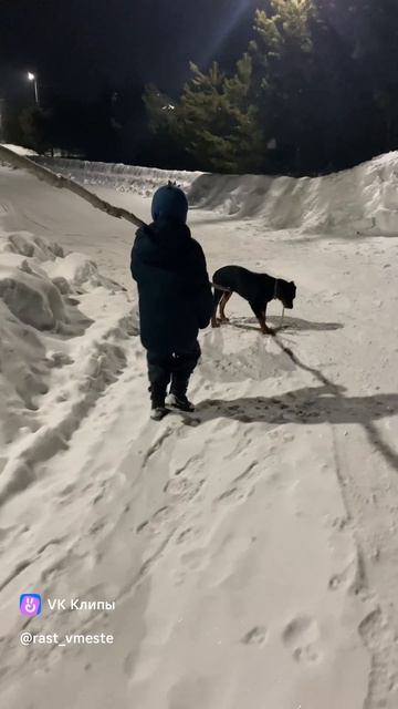 Вечерняя прогулка