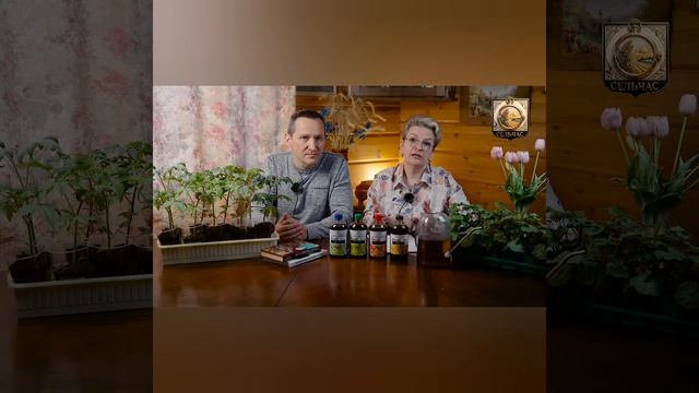 Когда и чем подкармливать растения.