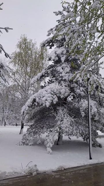 27.4.26 Москва, Южное Бутово