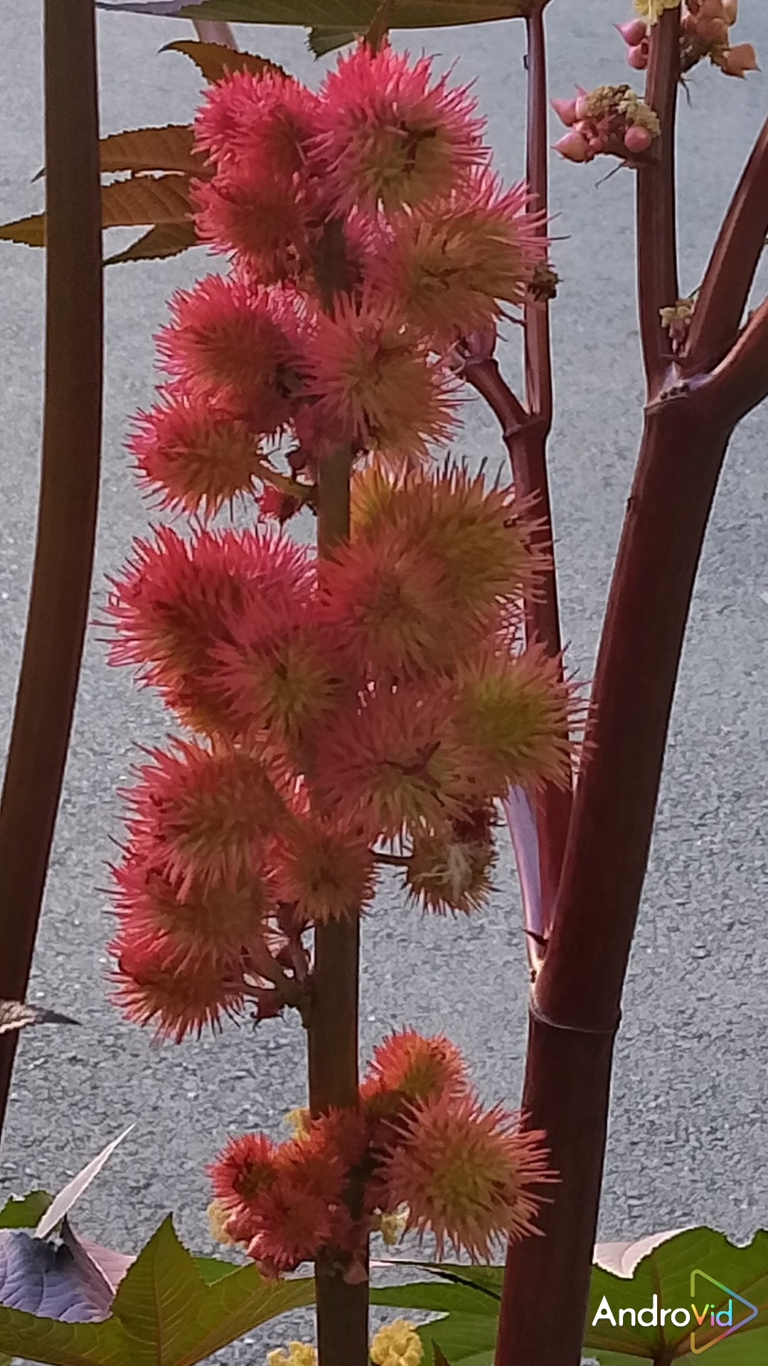 О жизни и любви.❤️ 01-05-2026