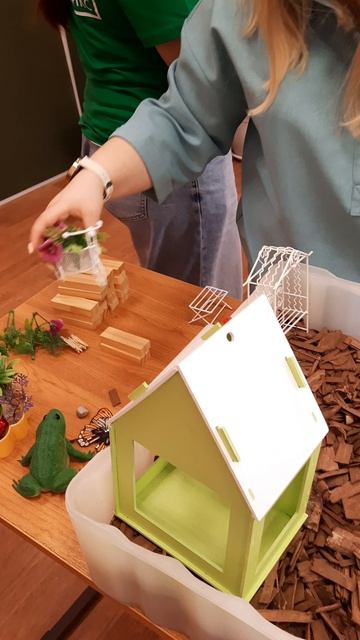 абилимпикс