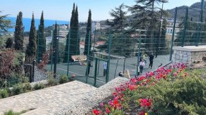 Ялта. Тюльпаны. Море. Бескрайняя красота. Городские зарисовки. Апрель 2026. Крым. Crimea. Yalta.