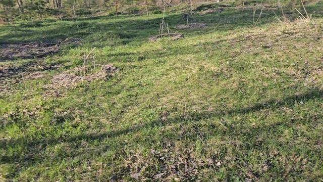 Сады Сибири .Закладка  сада.