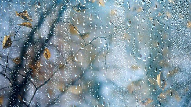 ПЕРВЫЙ ДОЖДЬ ВЕСНЫ