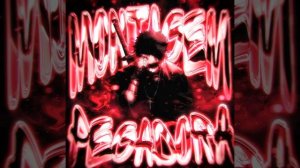 MONTAGEM PEGADORA ( Slowed )