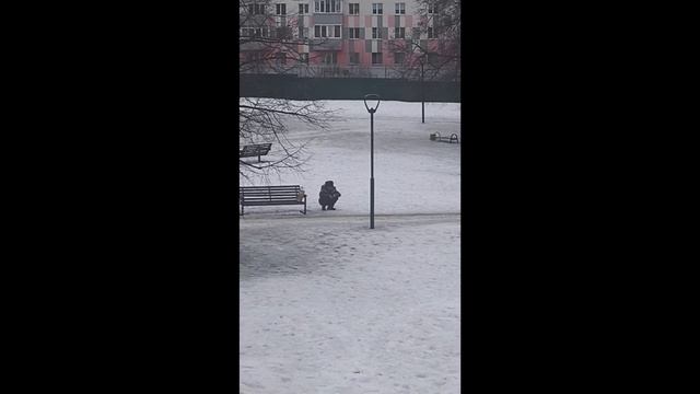 DvoroviySyur