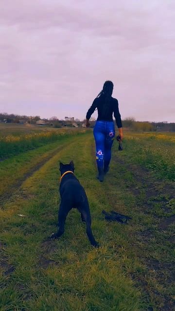 Дрессировка от Нагорной Е