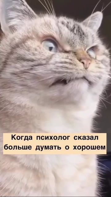 Когда психолог сказал думать о хорошем