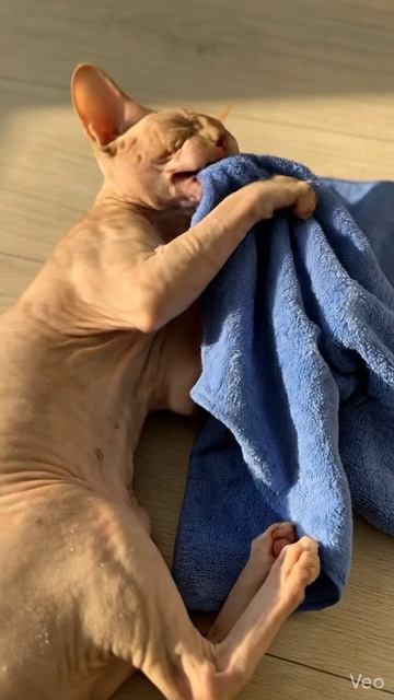 Полотенце Ветклик 2