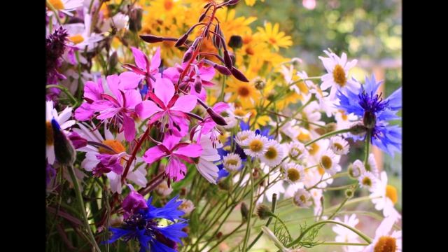 Библия и жизнь. Моя аудиокнига. Часть № 138