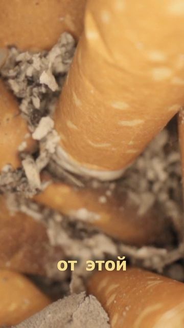 Саша знает 6 серия