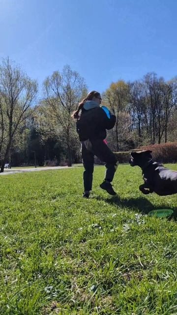 Спортивный Метис Нэтта - вольт от колена