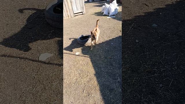 30.04.2026. Завтра май!!!)