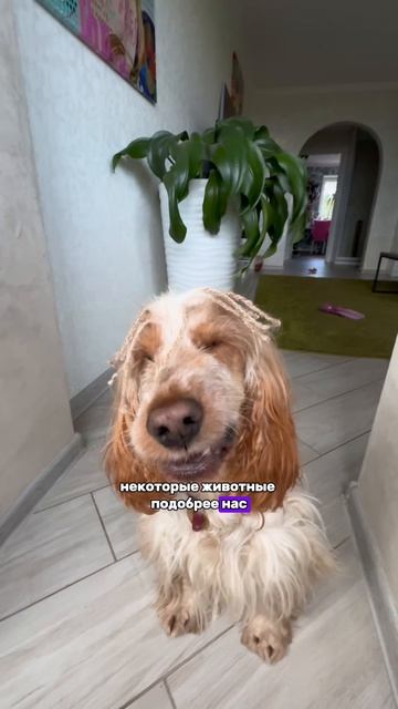 Что думаете?❤️🥺