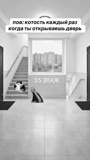 сериал котость 5часть