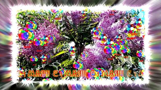 С 1 МАЯ!!! Праздничная музыкальная открытка 2 от Киностудии Мудрого Кота Тимофея!