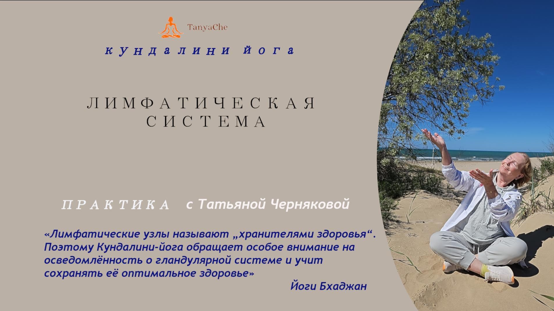 Лимфатическая система7