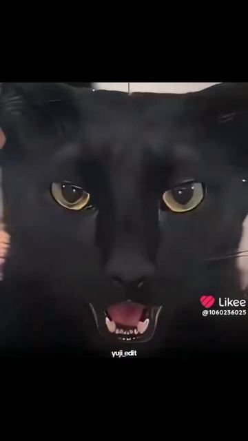 Эдит не мой 
#эдит#наоя#магическая битва