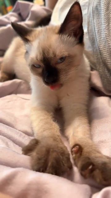 Внимание, вас соблазняют