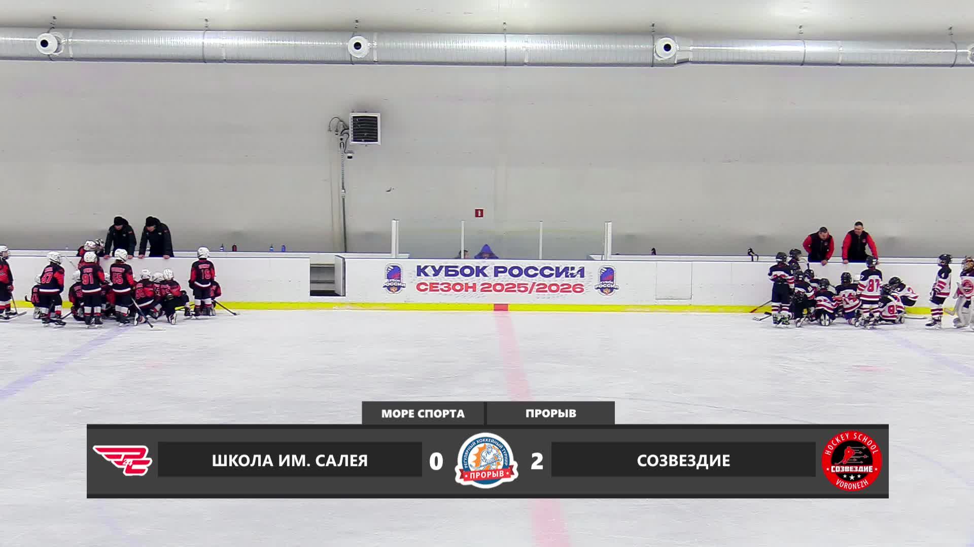 школа им. Салея-Созвездие