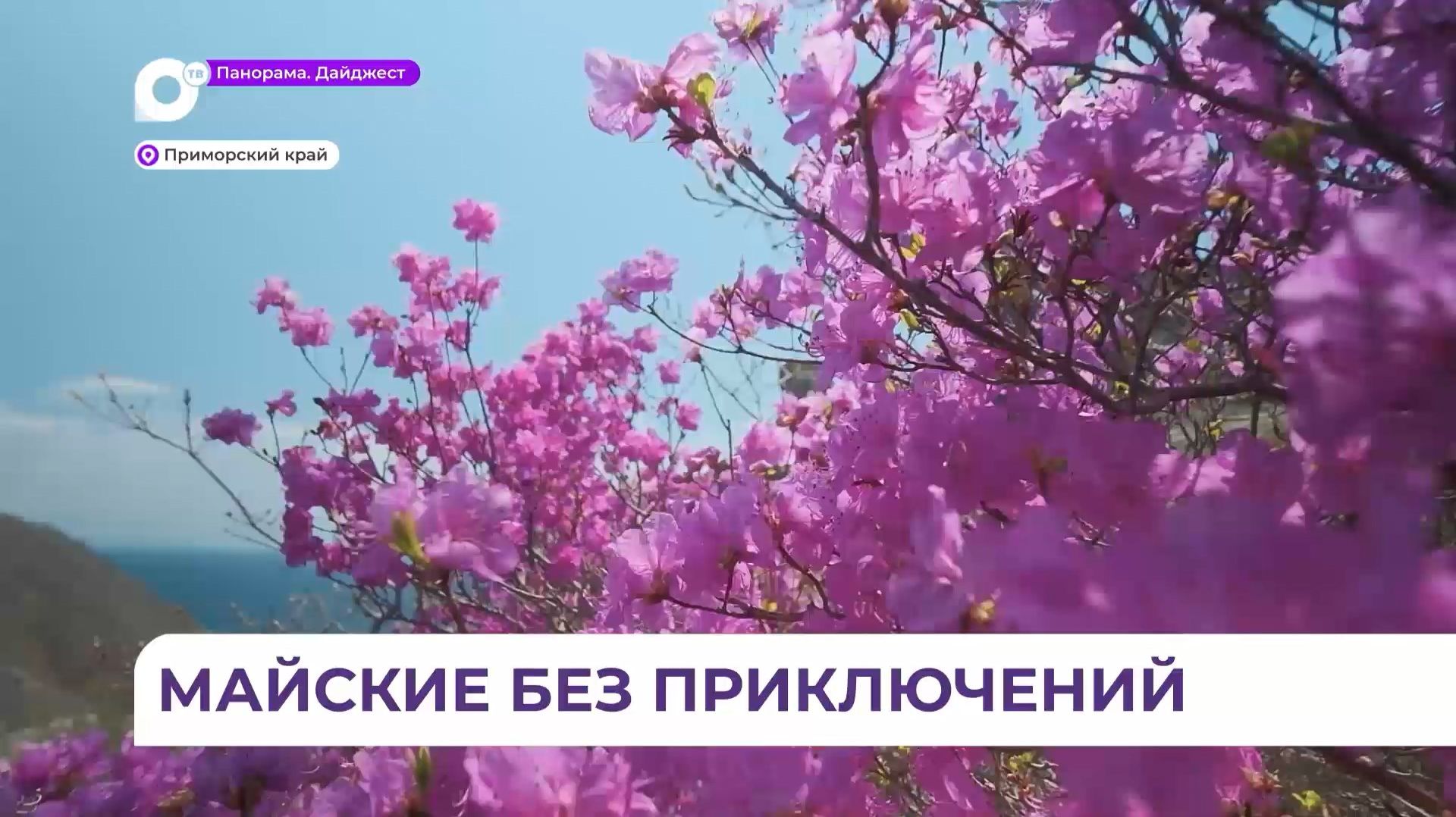 Майские без приключений: в Приморье растёт популярность внутреннего туризма
