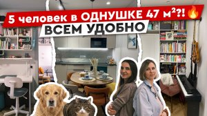 ОДНУШКА удобная для ПЯТЕРЫХ🔥 3 детей, собака и кот на 47 квадратах