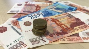 «Зарплату матери» для многодетных предлагают ввести в стране