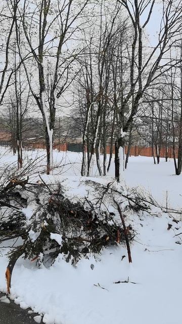 В Сергиевом Посад столько много снега, как на Новый год и Рождество