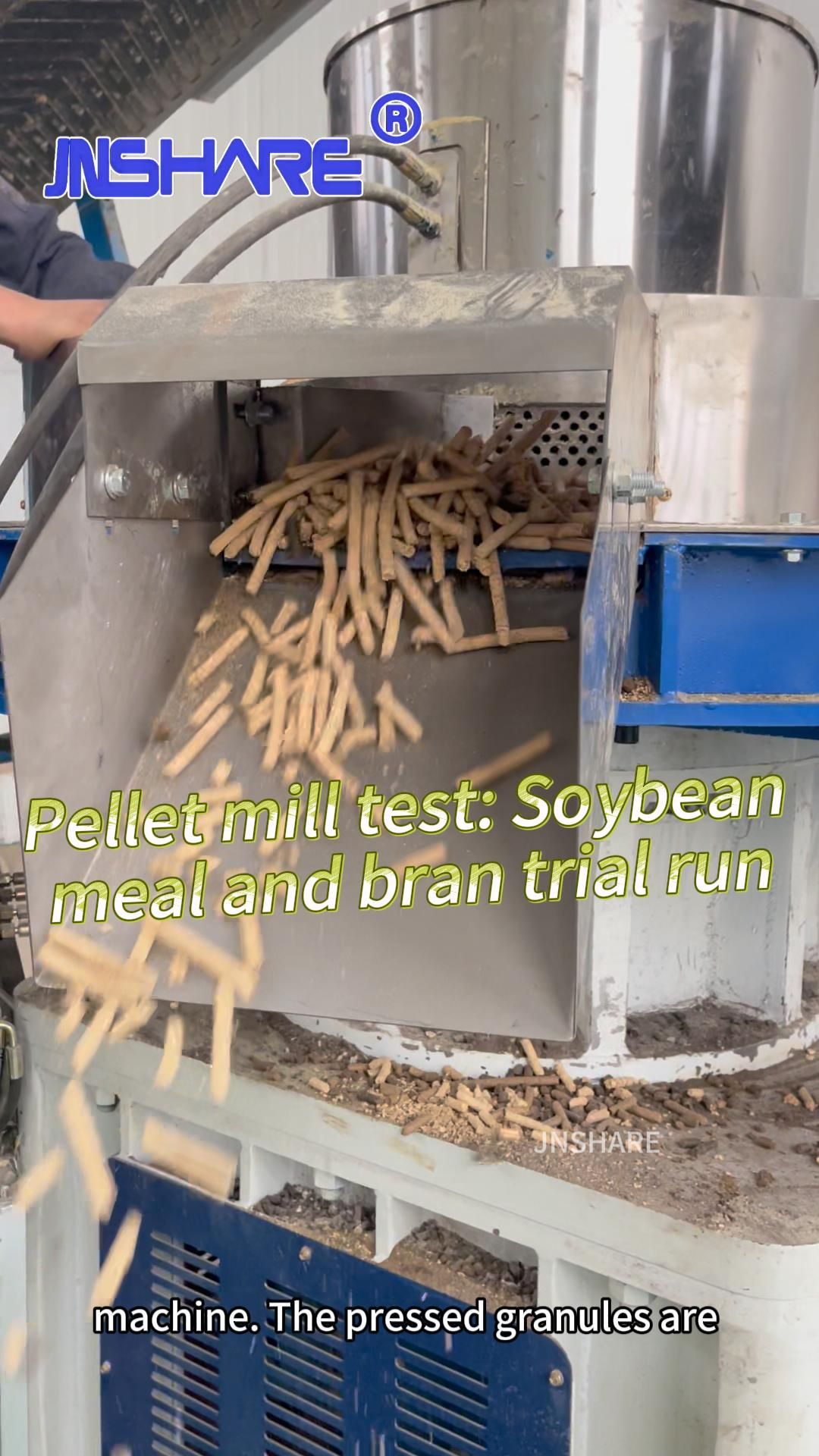 Испытание гранулятора: пробный запуск с соевым шротом и отрубями #машина #производство #гранулятор