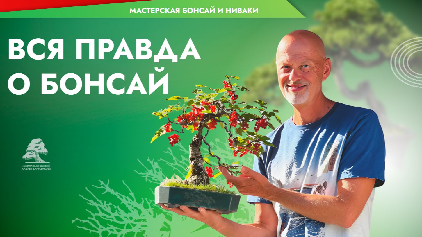 Вся правда о Бонсай от мастера с 30-летным опытом