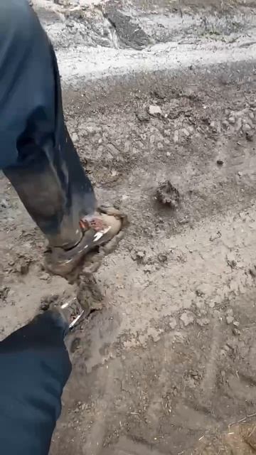 М-м-м, весна