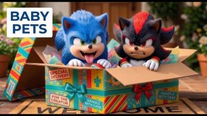 Мультфильм Очаровательные приключения питомцев Sonic & Shadow