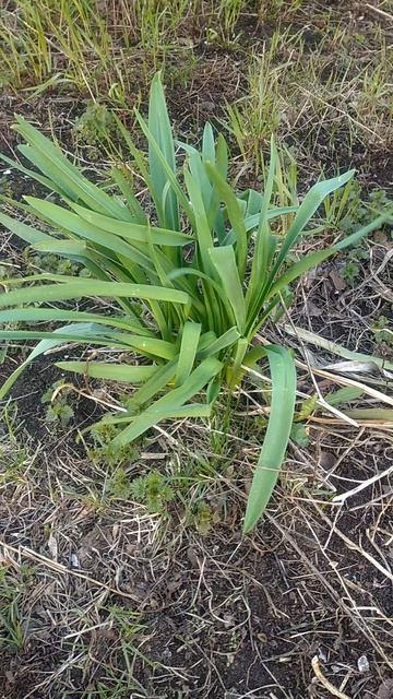 30.04.2026г. Пермский край, весна!