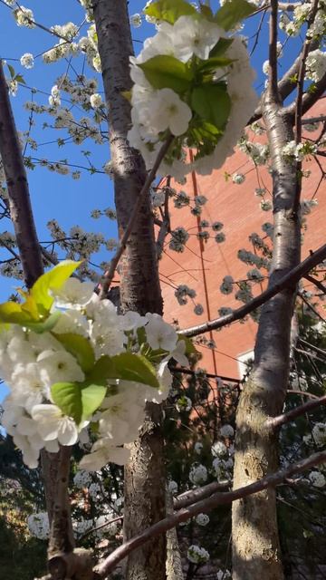 30 апреля. Самара.