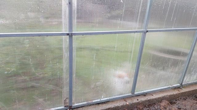 готовимся к посадкам)☘️🤗