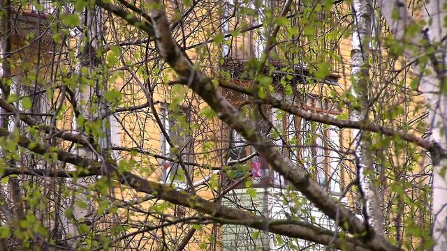 Тверских родителей призвали следить за детьми и открытыми окнами в теплое время года