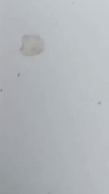 В Николаеве cоседи возле подъезда дома отбили от людоловов отца троих детей 1