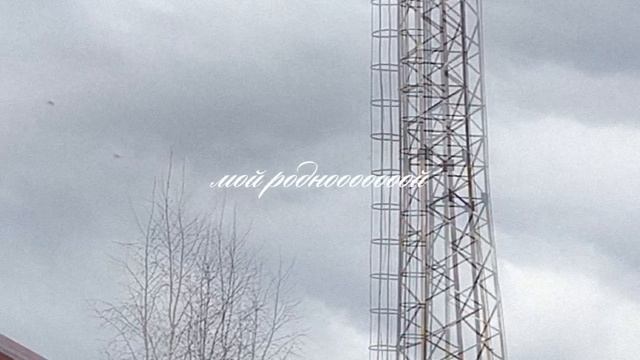 Поцелуй меня серая вьюга...