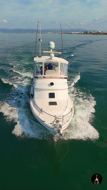 Рыбацкие лодки спешат в Пуэрто-Вальярта | Съемка DJI Avata