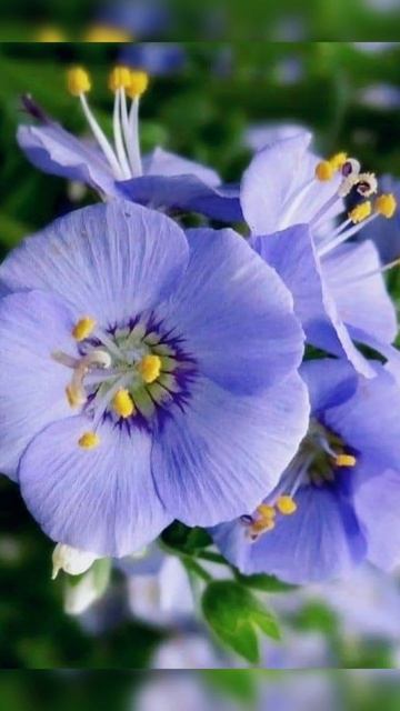 мой новый фильм 