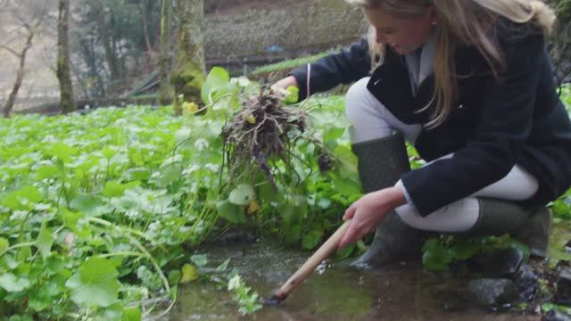 ВКУСЫ ФУДЗИ С ДЖАСТИН