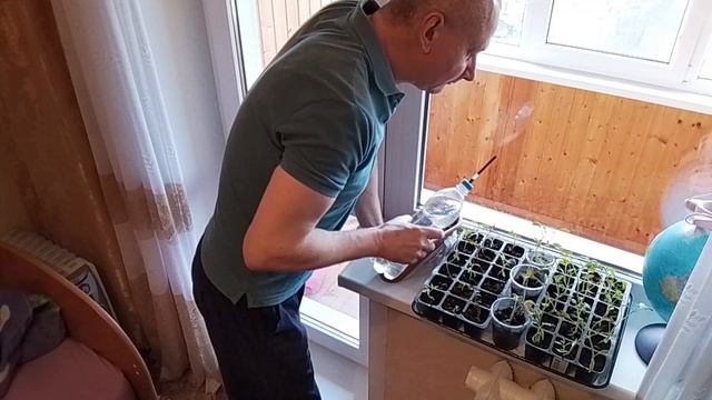 Пусть растут.