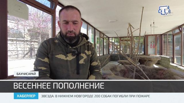 В бахчисарайском зоопарке принесли потомство редкие виды животных