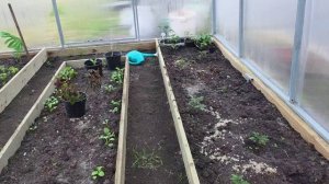 337 ЖИВЁМ НА ДВА ДОМА. СКОСИЛИ ТРАВУ. Перевожу рассаду. Подали документы в школу.